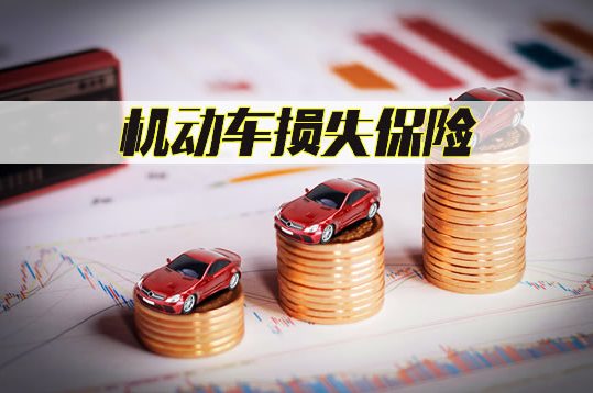 車輛損失險(xiǎn)